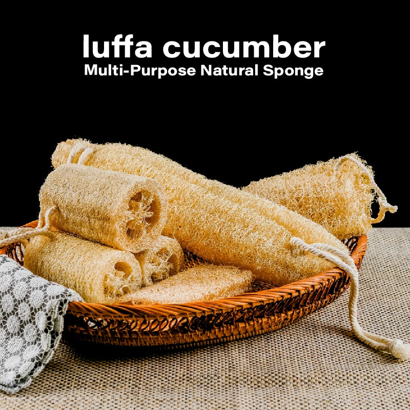 Set de Esponjas Naturales de Lufa – Exfoliación y Limpieza Multiuso