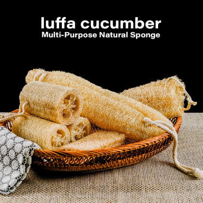Set de Esponjas Naturales de Lufa – Exfoliación y Limpieza Multiuso